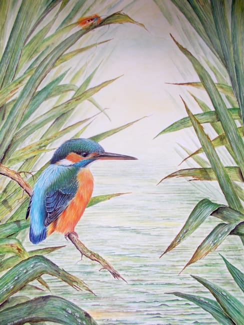 Kingfisher painting by Roy Aplin