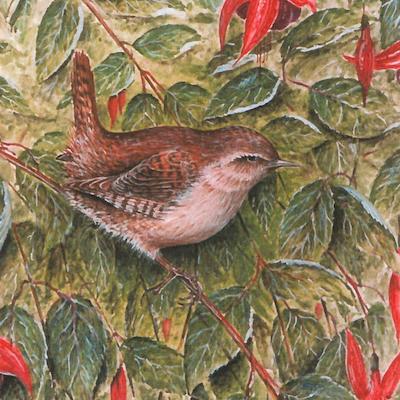 painting of a Wren on Fuchsia by Roy Aplin